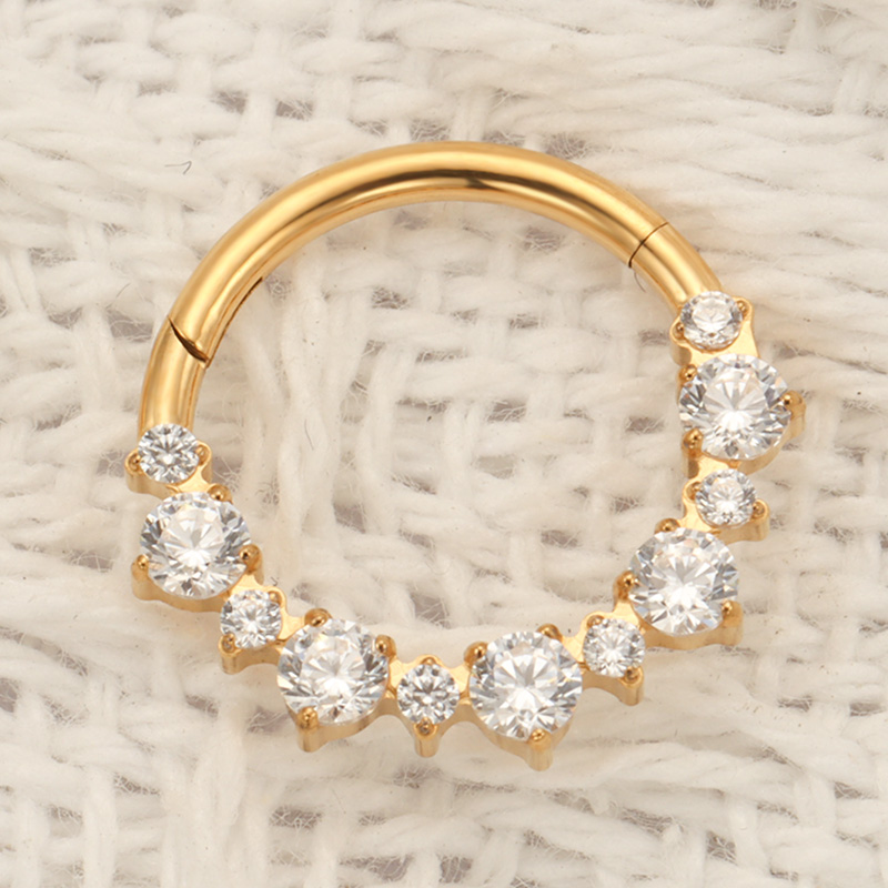 ASTM F136 TItanium Daith Click - Zoor Body Jewelry 评论和价格